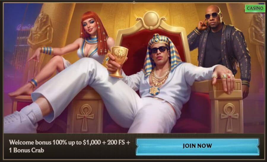Realz NZ Welcome Offer Casino