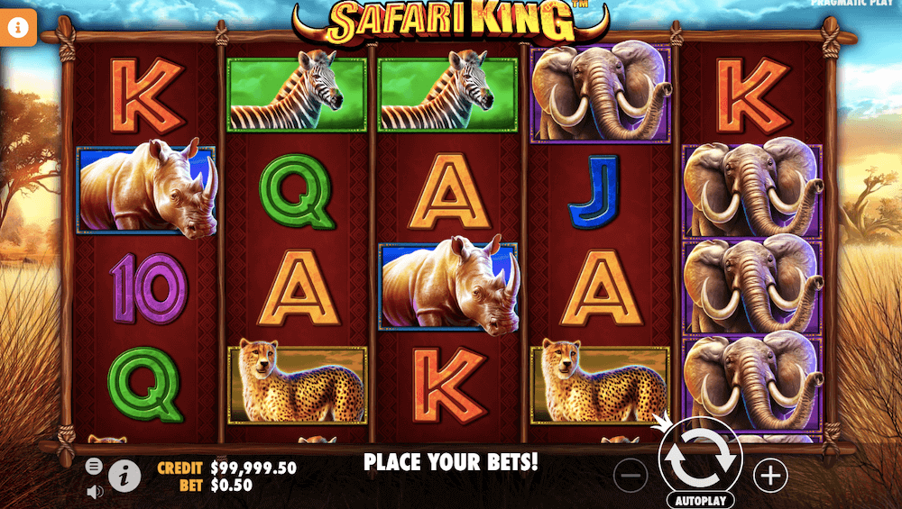 Safari King Slot 