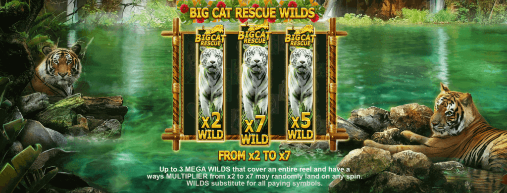 Big Cat Rescue Megaways White Tiger Wild Symbol