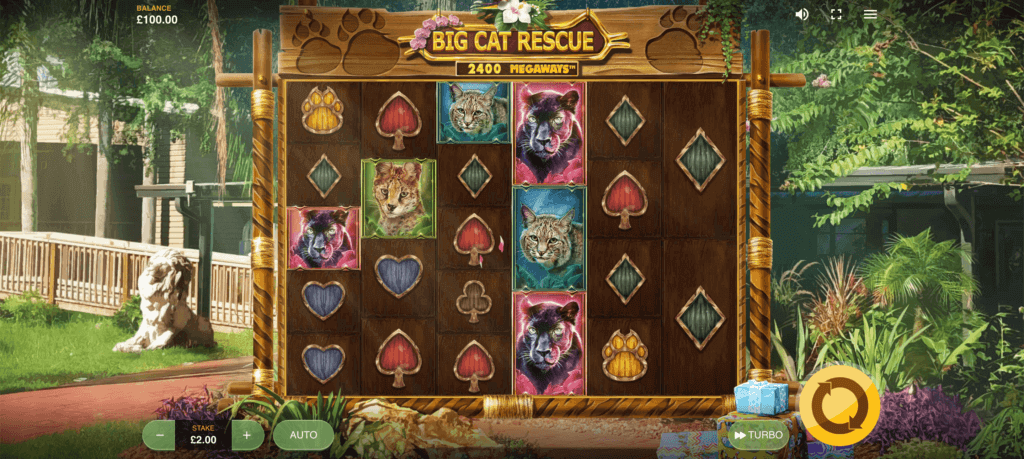 Big Cat Rescue Megaways pokie game for NZ players
