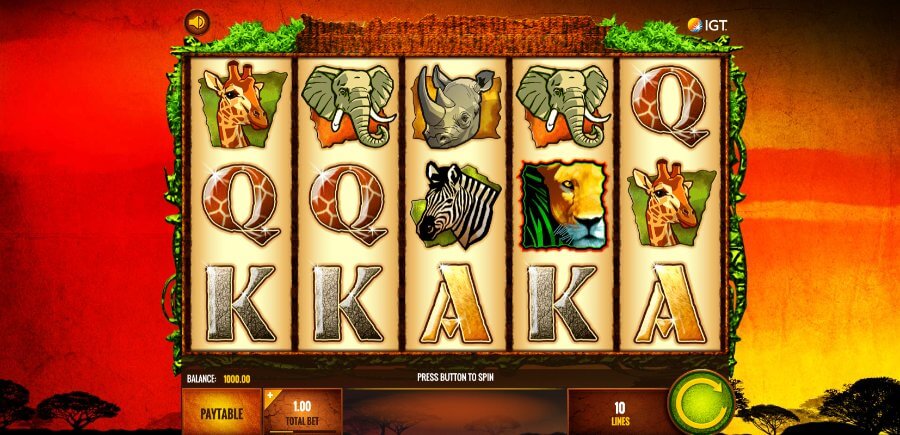 The Wild Life pokie for NZ players