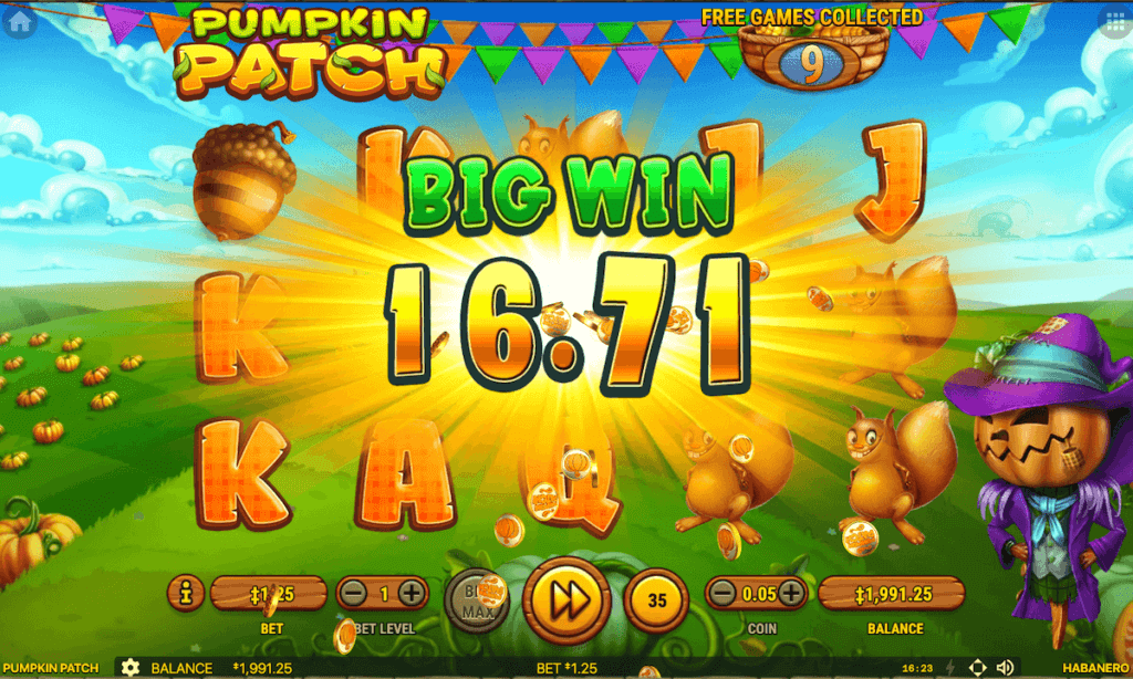 Pumpkin Patch game features
