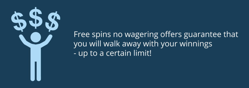 Free spins no wagering requirements for NZ players